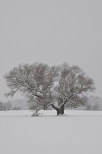 zimowy krajobraz nadbuaskiej ki