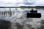 Jezioro Radodzierz - pozostałości pomostu