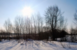 Zimowy pejza z okolic Pszczyny.