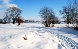 Zimowy krajobraz spod Pszczyny.