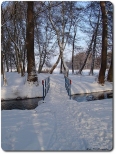 Park zimą