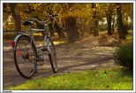Taczanw - park krajobrazowy okalajcy paac Taczanowskich (rower ogrodnika)