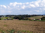 Krajobraz okolic Bestwiny.