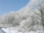 Zimowy krajobraz.