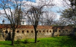 Obwarowania zamku w Toszku.