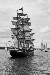 Georgr Stage II podczas parady