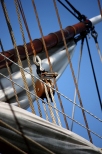 The Tall Ships' Races 2009 - Astrid z bliska