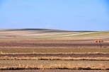 Krajobraz powiatu miechowskiego