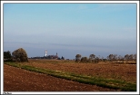 Chełmce - pola z widokiem na kościół pw. Narodzenia NMP