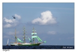 Gdynia - The Tall Ships' Races 2009: parada aglowcw