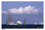 Gdynia - The Tall Ships' Races 2009: parada aglowcw