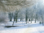 Barlinek - zimowy  park.