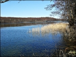 Jezioro Kamienica.