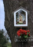 Kapliczki polskie - kapliczka przydrona na drzewie w Kaniowie koo Czechowic Dziedzic