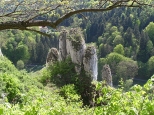 Rękawica - skała w Ojcowskim ParkuNarodowym