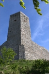 Ruiny zamku krlewskiego w Chcinach