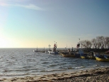 Port w Kuźnicy. Nowy Rok 2009