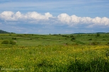 Łąki w okolicach Jaślisk