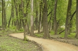 cieka przyrodnicza las gowy koo mostu poniatowskiego