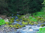 Potok Bystra w Kunicach