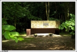 Las Krężel - pomnik ku czci zamordowanych przez Niemców na jesieni 1941 r. mieszkańców  pochodzenia żydowskiego z powiatów konińskiego i słupeckiego