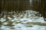 Bagno zimą - Ławy