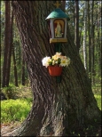 Kapliczka na drzewie - Pieńków
