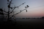 Wieczorna mgła w Wieliszewie