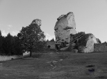 Skaki wapienne - teren zamku w Ogrodziecu