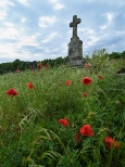 Nagrobek na cmentarzu katolickim w Horodyszczu, gm. Wisznice