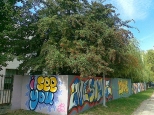 osiedlowe graffiti