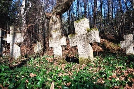 Stare Brusno - najstarsze krzyże. Roztocze