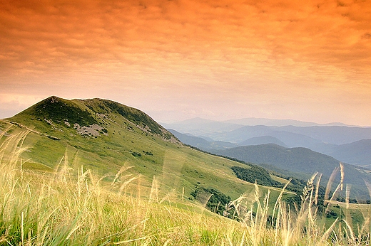 Tarnica widziana z Szerokiego Wierchu