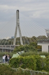 most witokrzyski