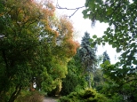 jesienny park