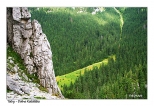 Tatry - Dolina Kocieliska