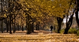 Park Szczliwicki w pikny jesienny dzie