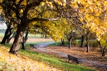 kolory jesieni w Parku Szczliwickim