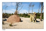 Nowcin - park dinozaurw