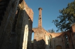 Bierutw - bocianie gniazdo w ruinach wityni ewangelickiej