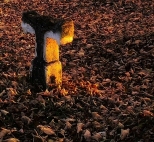 Radru- listopad na cmentarzu