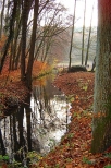 Dolina Mynwki jesieni