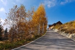 Równica-droga prowadząca na szczyt, a właściwie na obiad  do Dworu Skibówki