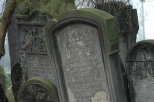 Piotrkw Trybunalski - na cmentarzu ydowskim