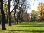 Polska złota jesień w Parku Dreszera
