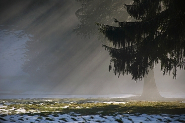 Tatry - Dolina Chochołowska - Siwa Polana