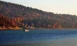 Jezioro Żywieckie w okolicy Tresnej.