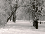 Zimowy park w Wgrowie