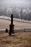 Cmentarz w Krzywej