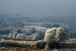 Suwalski Park Krajobrazowy w zimowej szacie.